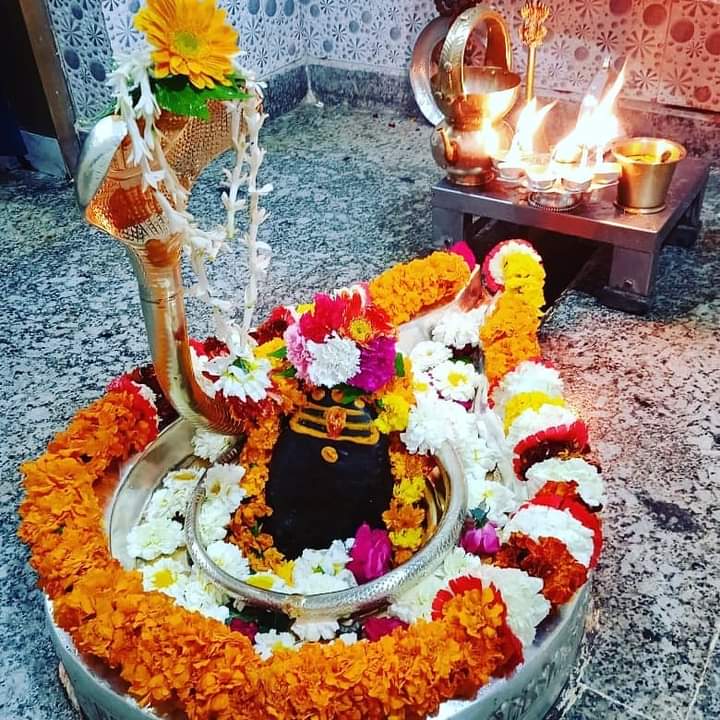 HappyAppy83's tweet photo. Wishing everyone a very Happy Republic Day 🇮🇳🇮🇳 🌻🌻
Jai Hind 🇮🇳
Jai Bharat 🇮🇳 https://t.co/JWWfWLxy98