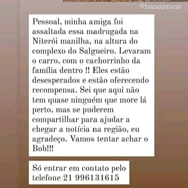 danielacalcia's tweet photo. #RJ #Niteroi #Manilha Bob foi levado num assalto! Alguém viu? Contato: 21 99613-1615 #doglovers #pontodeencontro RT @anaffontelles @NiteroiRadar @Niteroi24hrs @BlogNiteroi https://t.co/URQI5hDSme