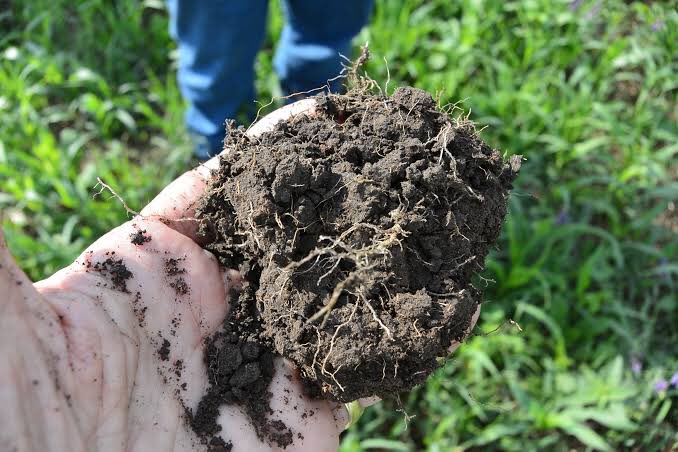  రైతుని ఒక ఓటర్ గా భావించి రైతు రుణమాఫీ అని మాయ చేస్తే రైతులు బ్రతుకులు మారవు  రైతు వ్యవసాయం మానేస్తే భూగర్భజలాలు అడుగంటి పోతాయిమొక్కల మూలాల ద్వారా నీటి విడుదల అవుతుంది