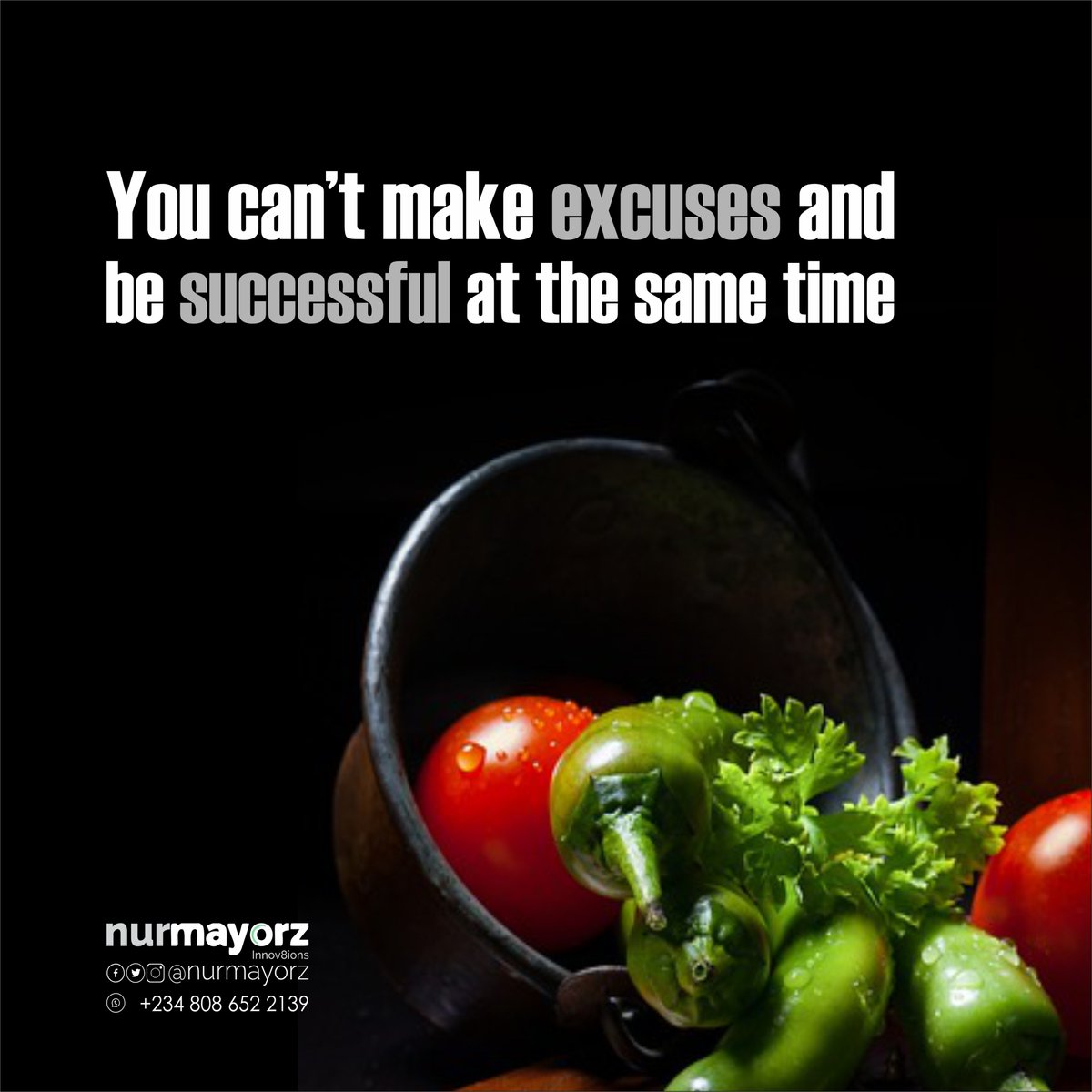 You can’t make excuses and be successful at the same time!

#nurmayorz...cares, cr8s &amp; innov8s
