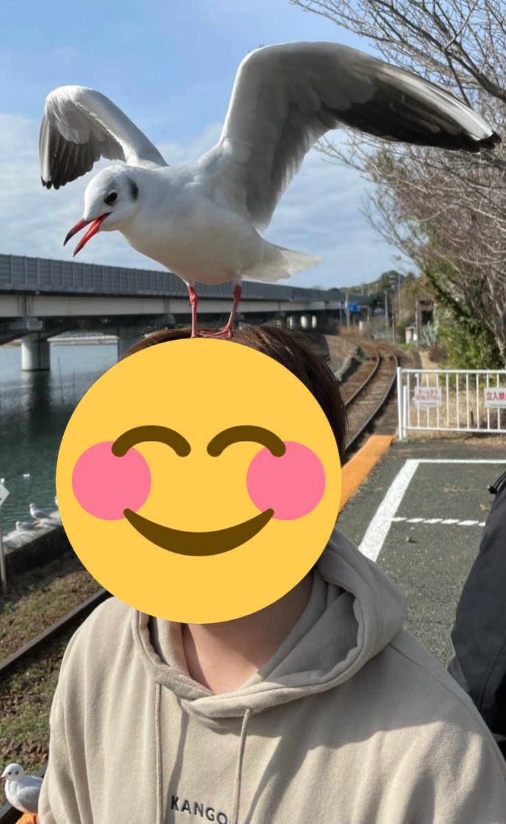 おだくらりん tweet media