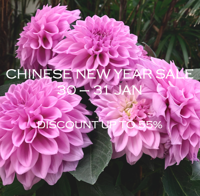 manks_hk's tweet photo. Up to 55% off for 2 days only - CHINESE NEW YEAR SALE 30-31 JAN 2021. See more at https://t.co/jFKKJxKPNS . #Manks #Furniture #Lighting #Designer #InteriorDesign #HomeDesign #HomeDecor #LivingRoom #DiningRoom #ScandinavianDesign #DanishModern #HongKong #HK #HongKongers #HKers https://t.co/YXIkF3kDcp