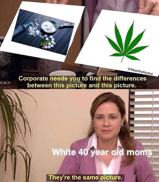 StonedGenie tweet picture