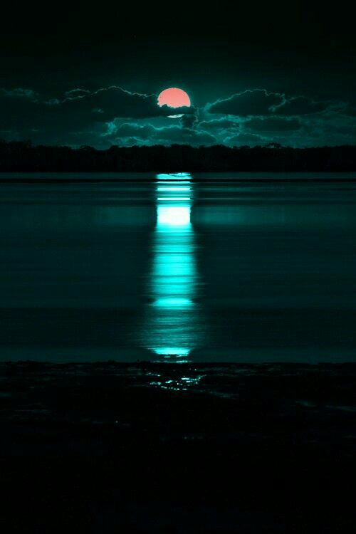 moonlight4444's tweet photo. https://t.co/6lpFT3aw7S