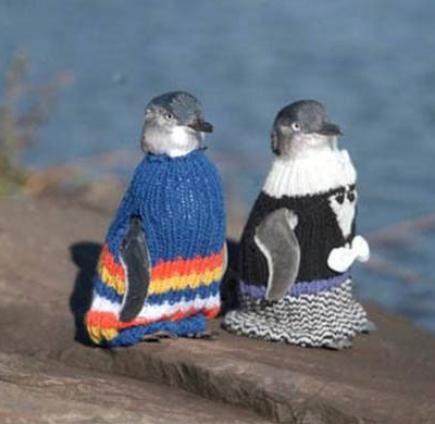 rosarrie__'s tweet photo. penguins in sweaters send tweet 🐧 https://t.co/k2dxKYRD4q