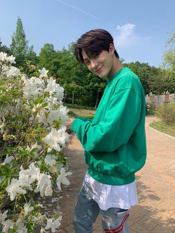 jeno - foresthomey, deep, comforting, all-consuming