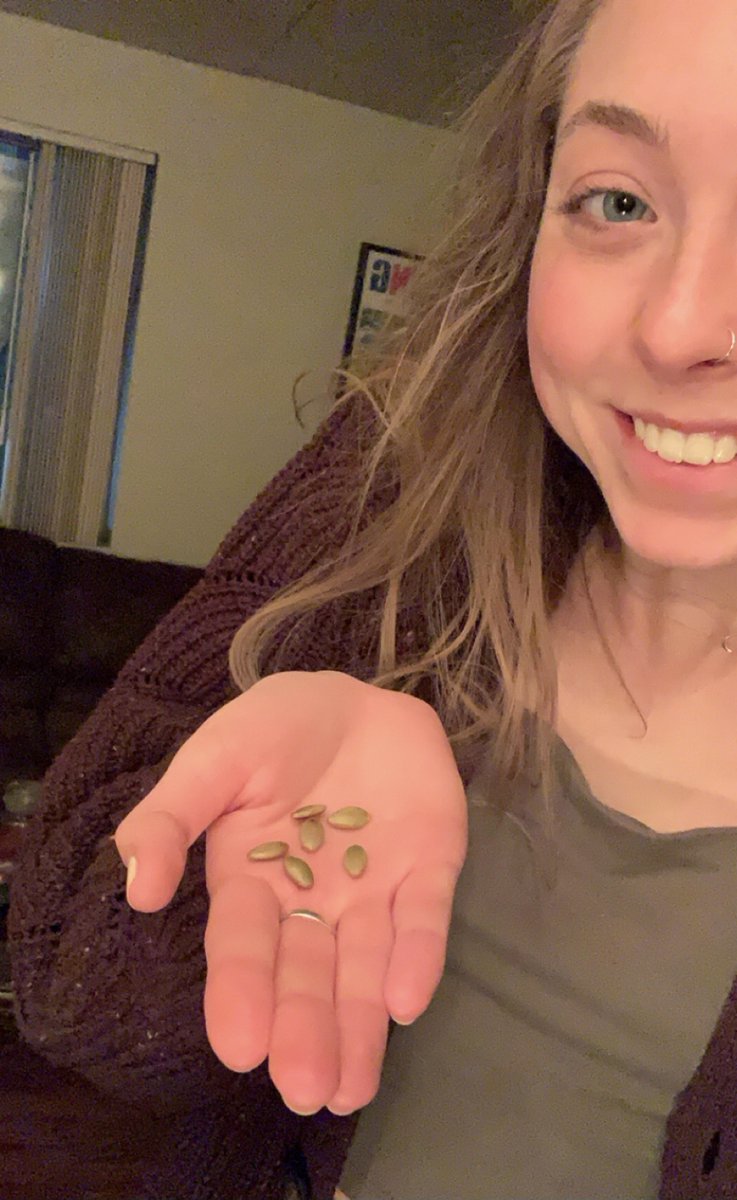 GraceJocham's tweet photo. The seed shown in the picture attached is called a pepita. Pepita seeds come from pumpkins (Cucurbita pepo L.). There is a difference between pepitas and pumpkin seeds. Pepitas come form specific hull-less pumpkin varieties (Styrian). 
#plant200call #drfoxcall #plant200week2 https://t.co/a9wNn9mXTJ