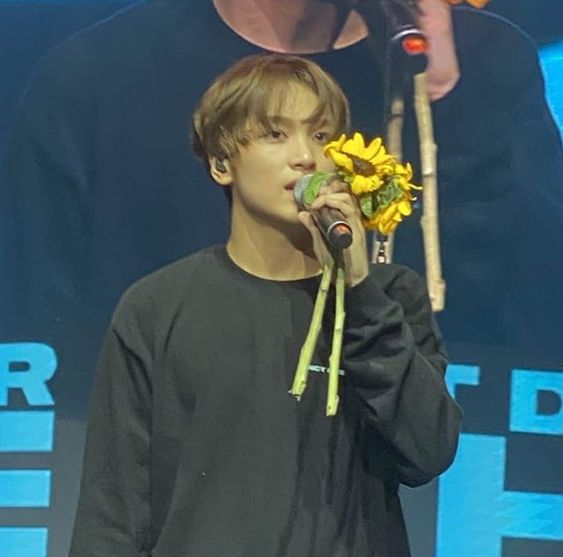 haechan - sunflower plainswarm, easy to get along with, :D, sunflowers