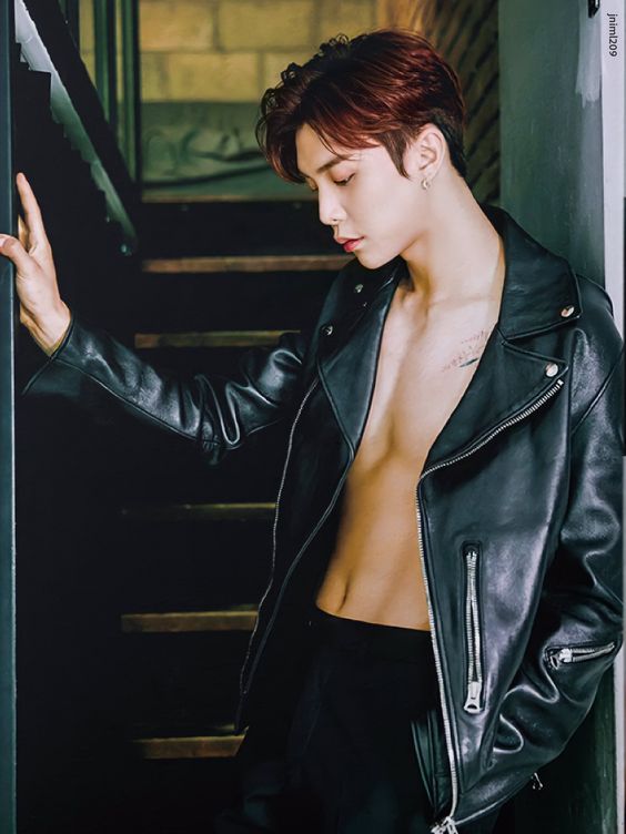 johnny - giant spruce taigatall, easy to get lost in their charms, much to discover