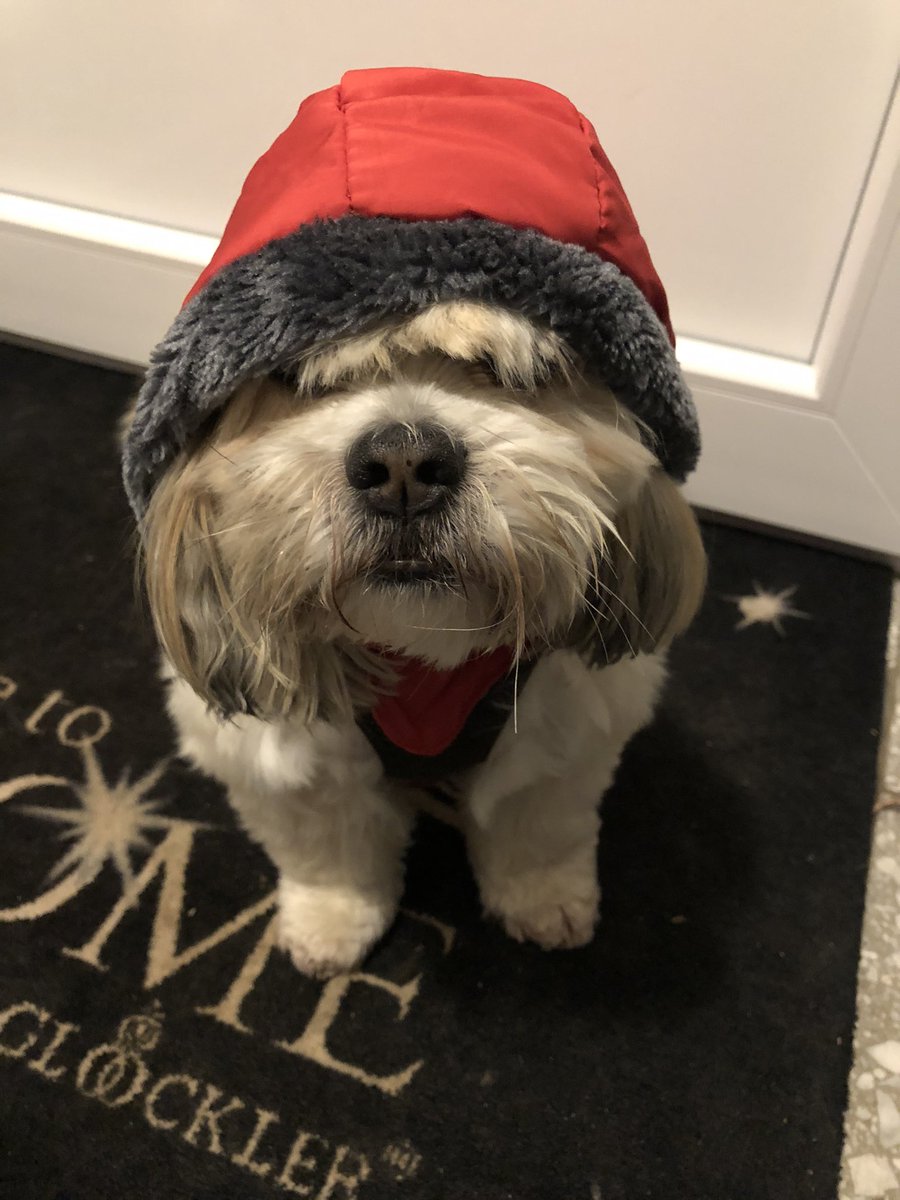 Axbusch's tweet photo. Guten Morgen meine Lieben https://t.co/Og0go8DWVS