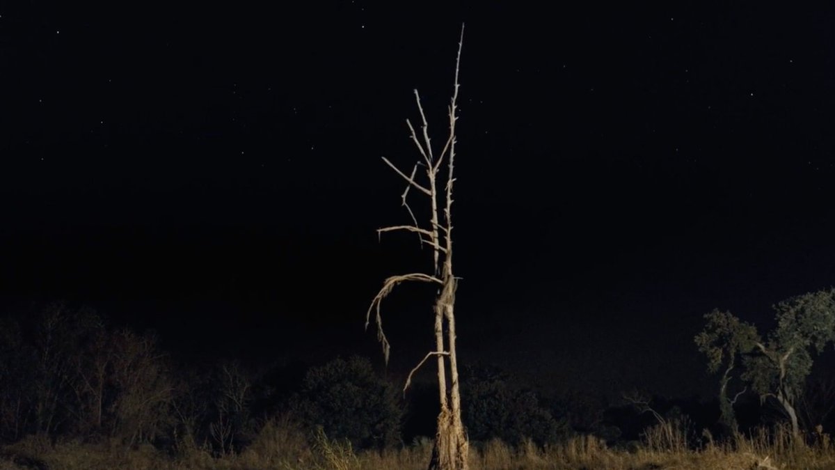 SYNCHRONIC (Benson & Moorhead, 2020)