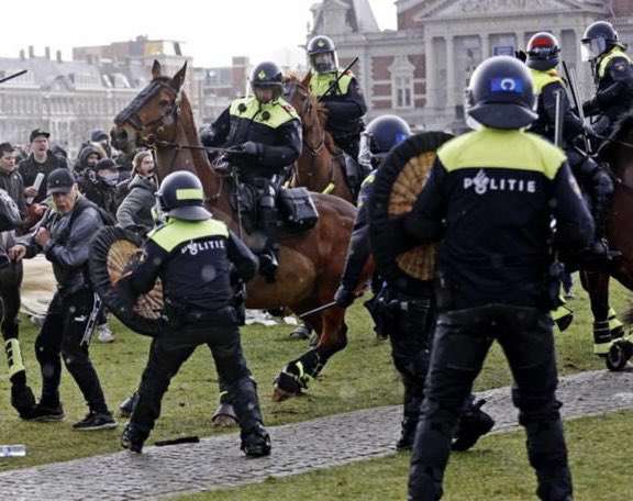 Митинг в амстердаме. Митинг собака. Митинг собака. Омон с собакой. Разгон демонстрации в нидерландах собаками.