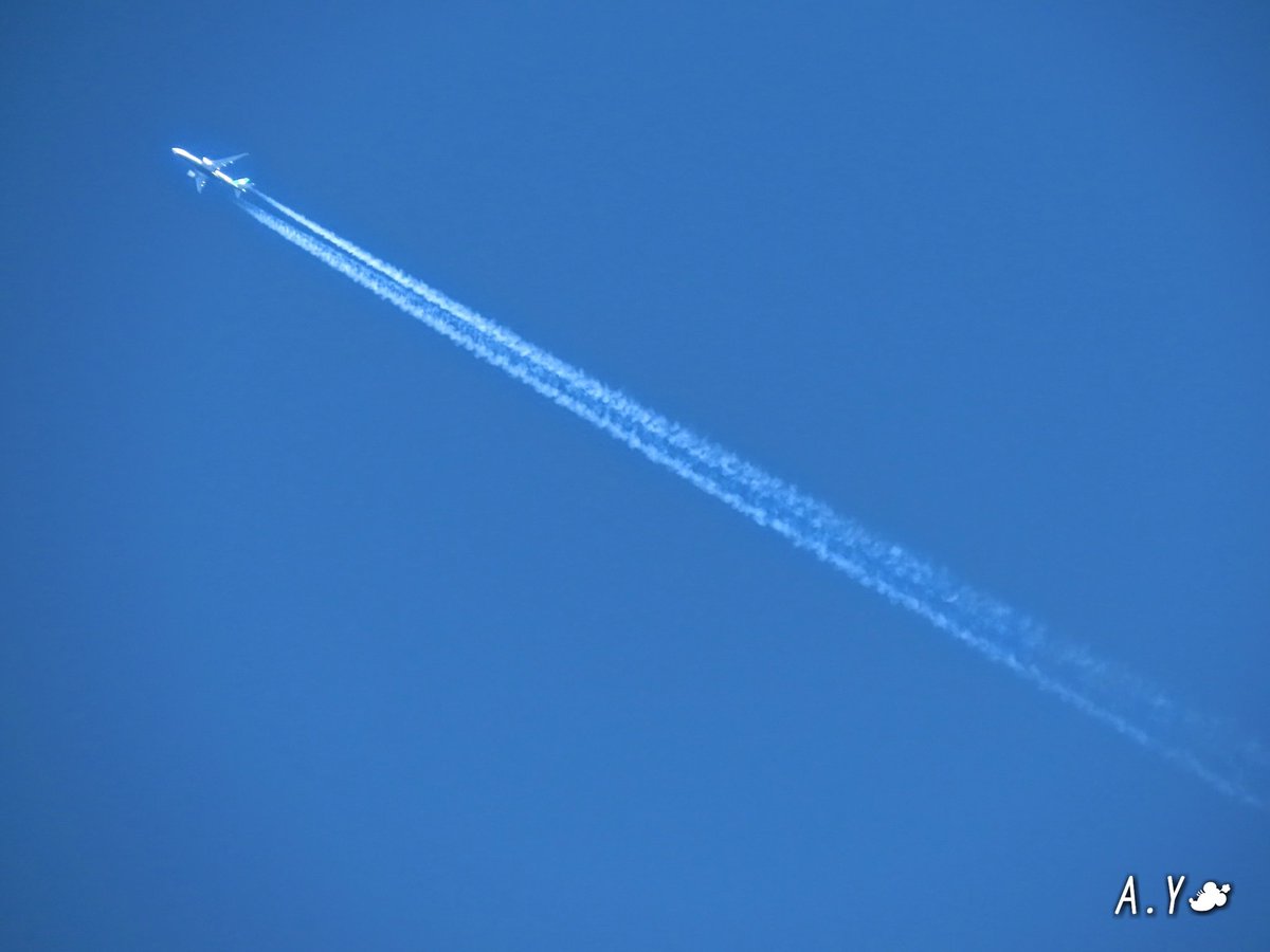 yumeasutw's tweet photo. 青空を行く✈️
/
/
アンカレッジから台北へ向かう
#飛行機 が、長い #飛行機雲 を
棚引かせ、東から西への彼方へ
飛んで行きました💙
#エバエアカーゴ
EVA Air Cargo
#青空 #bluesky
#空の名前
#雲の教室
#a2021 #a0126 #a202101 #a2021015 https://t.co/qontEunxKw