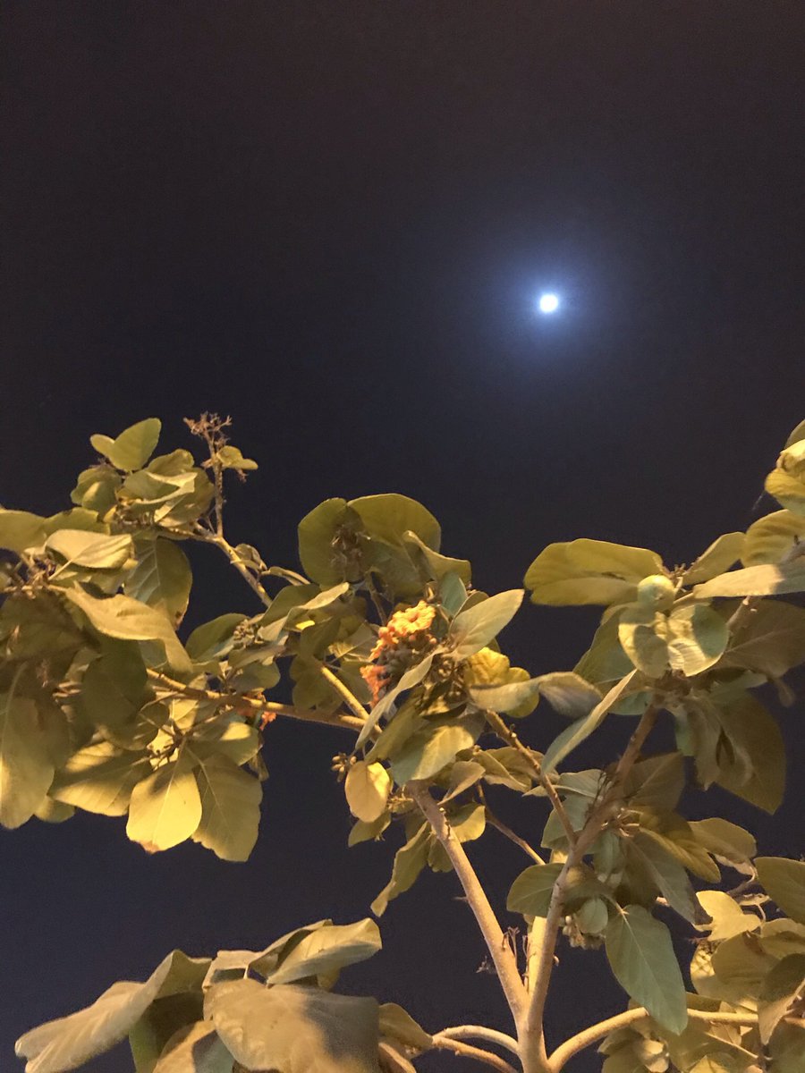 اعادة الجهات التنفيذية لوحة إزيلت قبل 5سنوات الى مكانهاالأصلي بعد أن أثير جدل بسبب لغط حول ديارمرضعة...