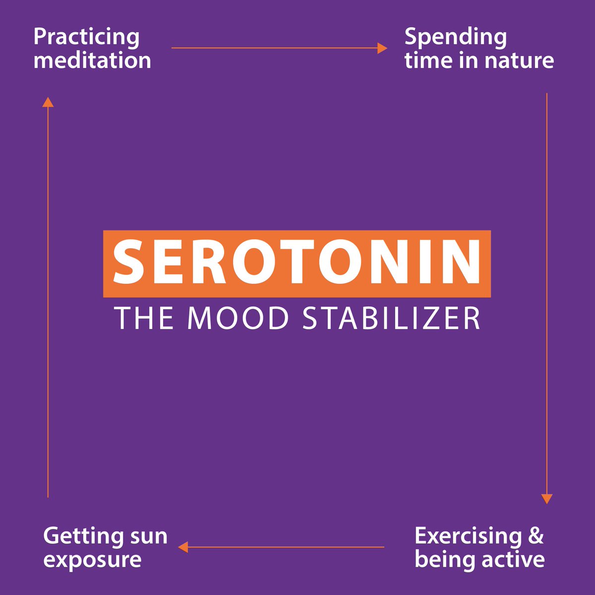 Dopamine endorphin barterpsado