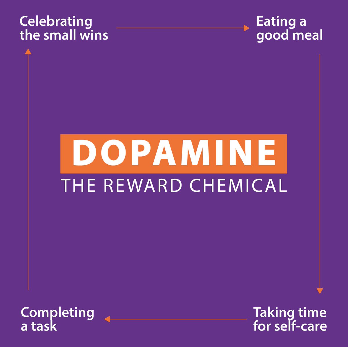 Misk_Global's tweet photo. Not all chemicals are bad, in fact your brain stores four chemicals that can make you even happier than you already are. Serotonin, Dopamine, Endorphin &amp; Oxytocin: here’s how you can activate them! https://t.co/ds1EJGBl3j