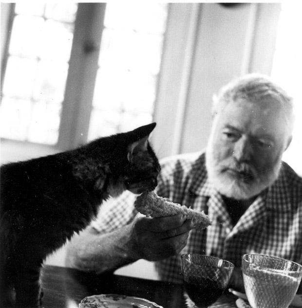 4/ Ernest Hemingway and cat