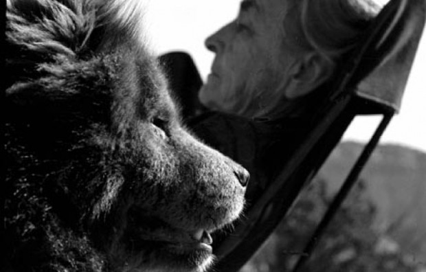 21/ Georgia O'Keeffe and her Chow