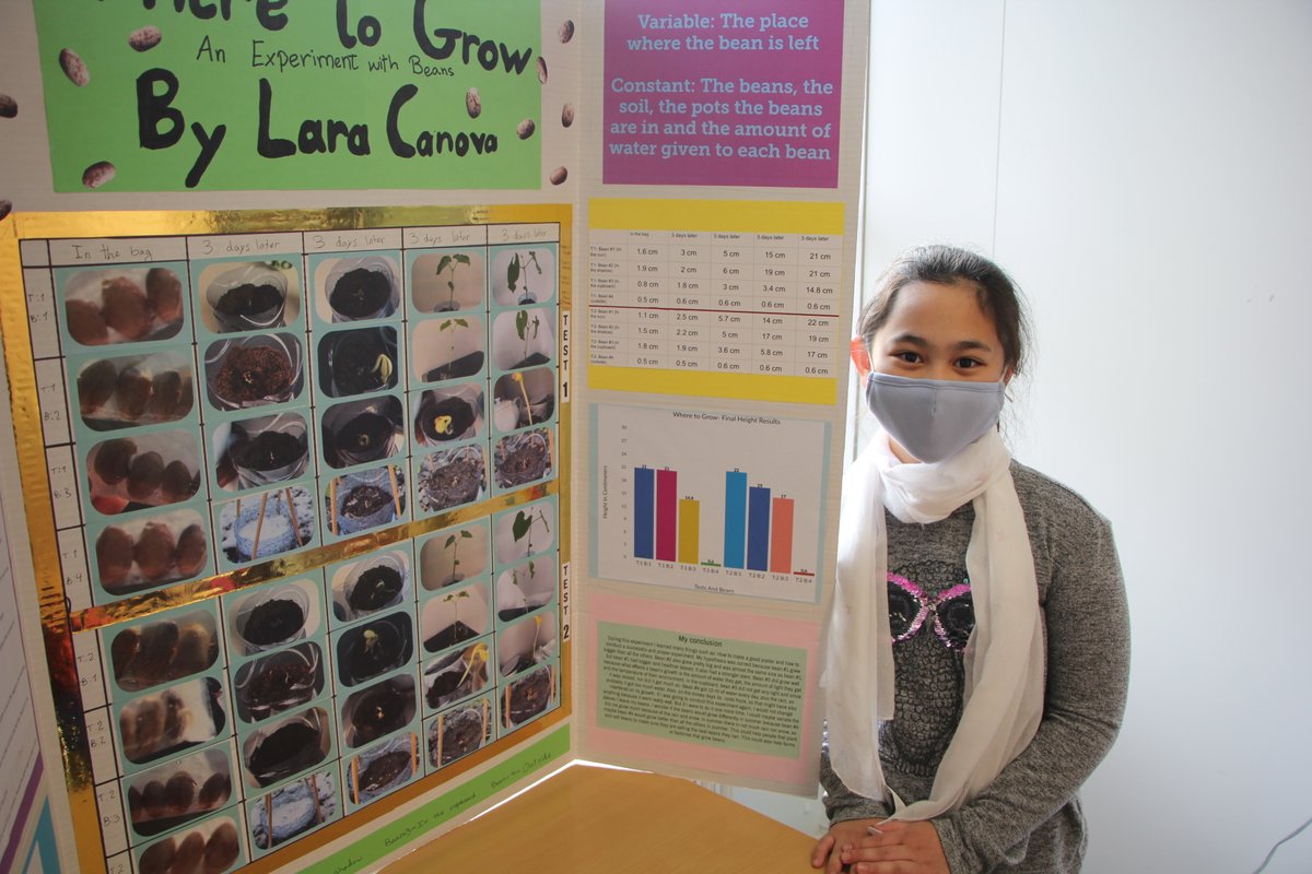 isbecceslibrary's tweet photo. Grade 5 hosts science fair today #eslearns #thisisisb https://t.co/SnzKId2sSD