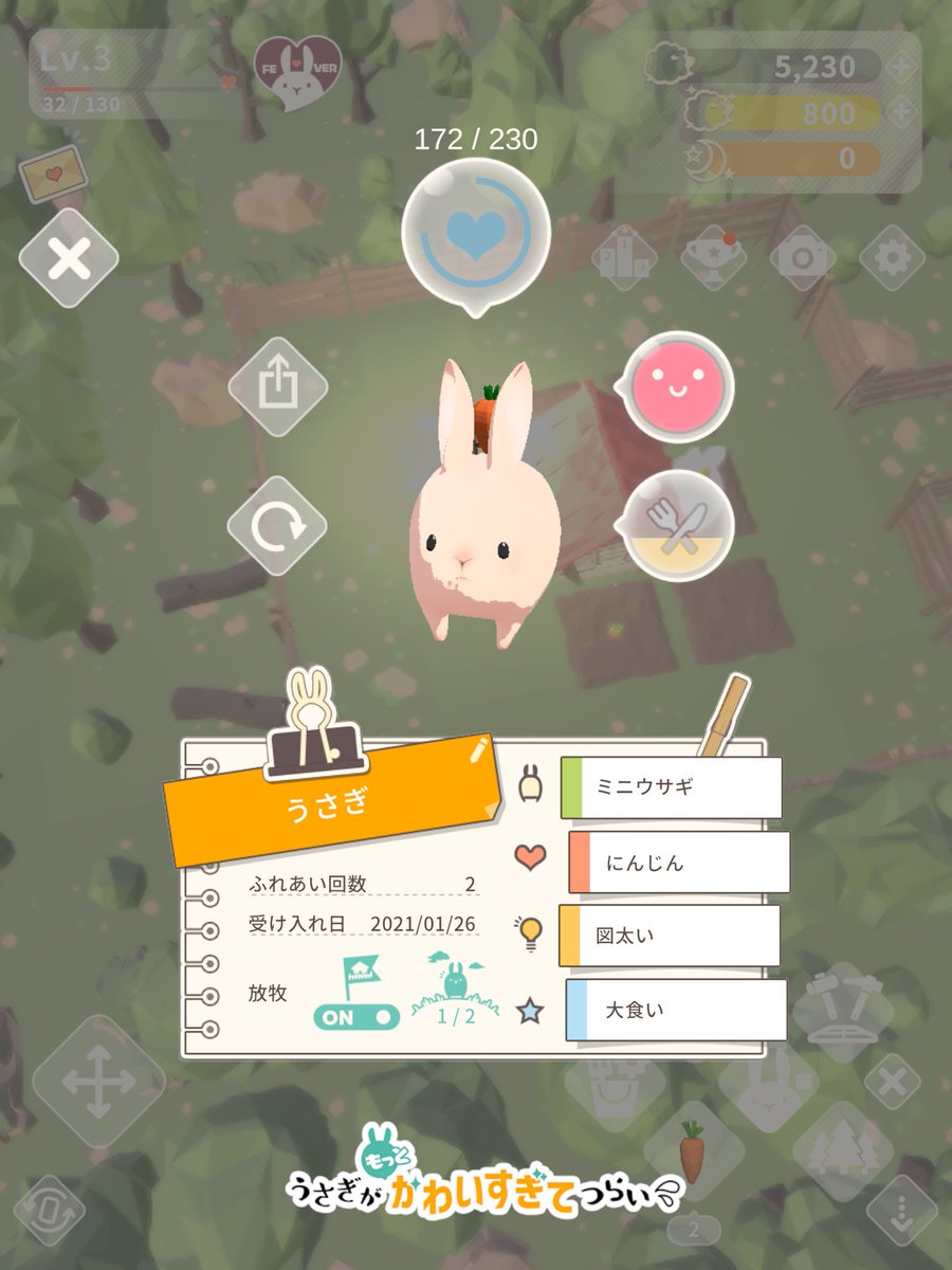 うさぎがかわいすぎてつらい ミニウサギ ホーランドロップなどうさぎだらけの牧場経営 うごく3dうさぎに癒やされる Togetter うさぎがかわいすぎてつらい ミニウサギ ホーランドロップなどうさぎだらけの牧場経営 うごく3dうさぎに癒やされる Togetter