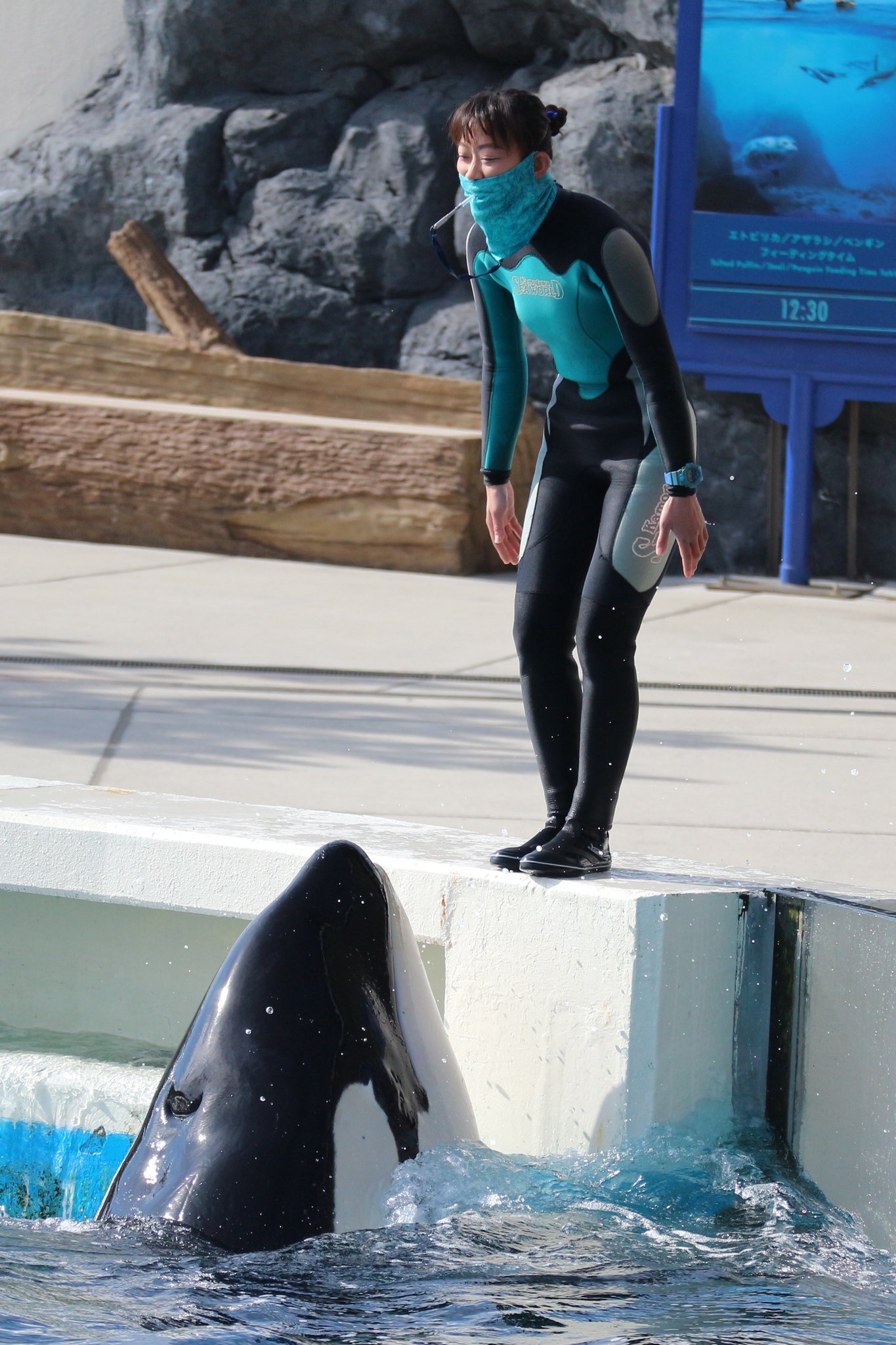 テツ 横浜 続けてシャチのショーから こちらのトレーナーさんたちは たぶん布留川さんと宮川さん ちなみに この日の朝のハッピーオルカタイムは宮川トレーナーが担当でした みんなの鴨シーアルバム 鴨川シーワールド T Co Omxrt8jpff