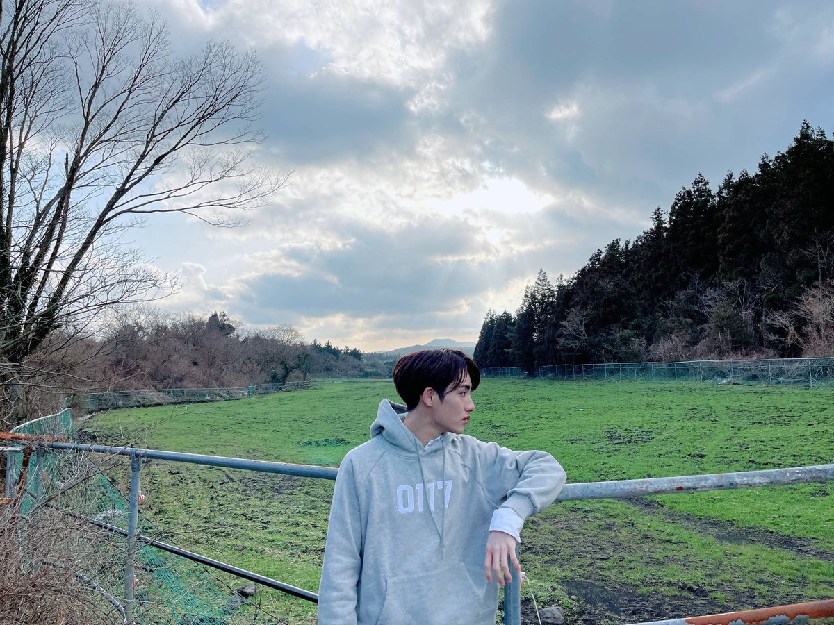 winwin pics tweet media