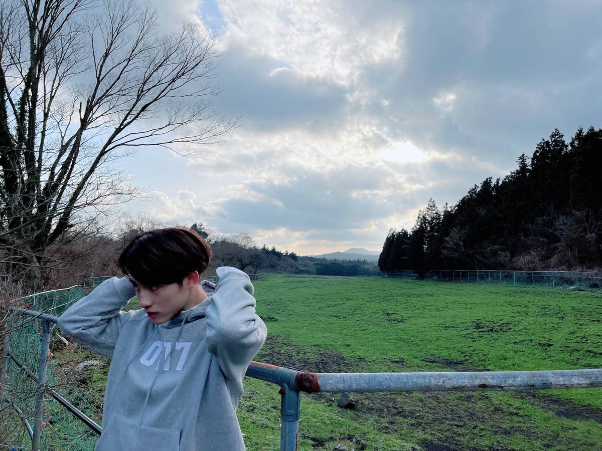 winwin pics tweet media