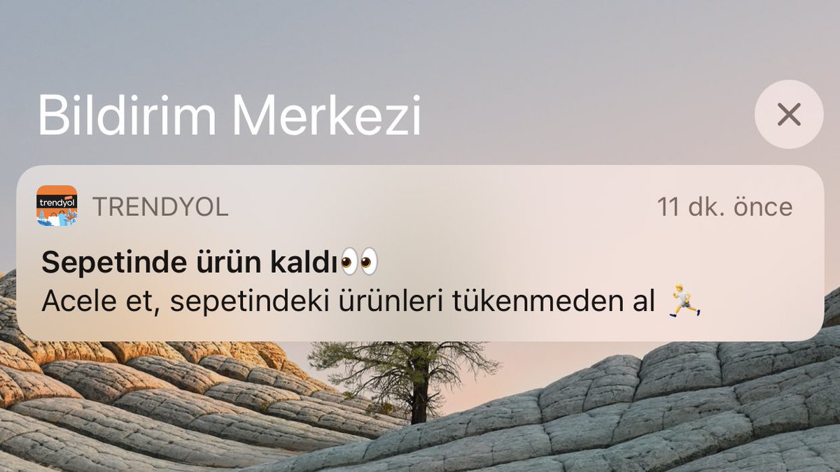 Trendyol sence hulk gerçek olabilir mi