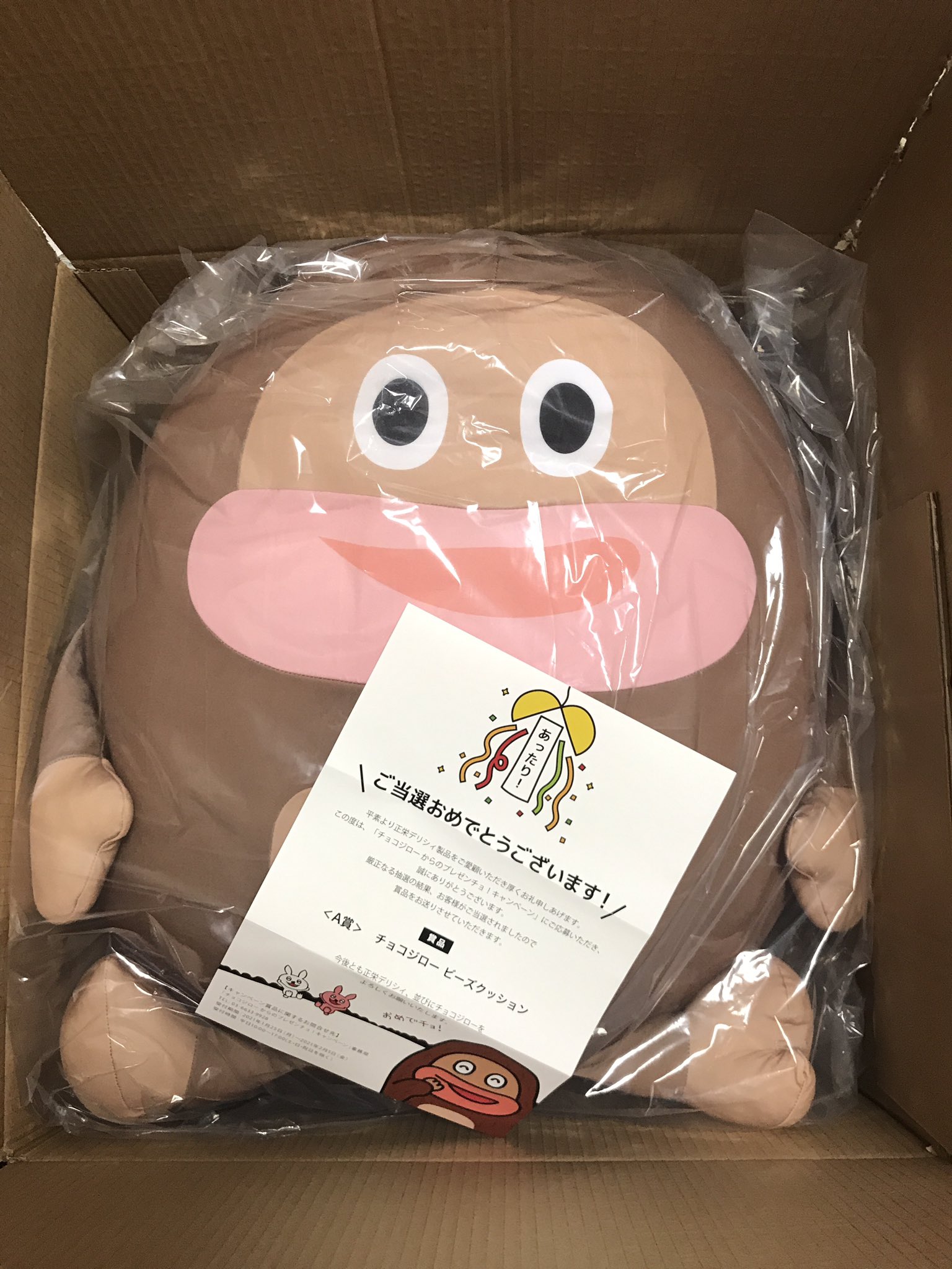 サク山チョコ次郎　ビーズクッション　キャンペーン当選品　50㎝ サク山チョコ次郎 ビーズクッション キャンペーン当選品 50