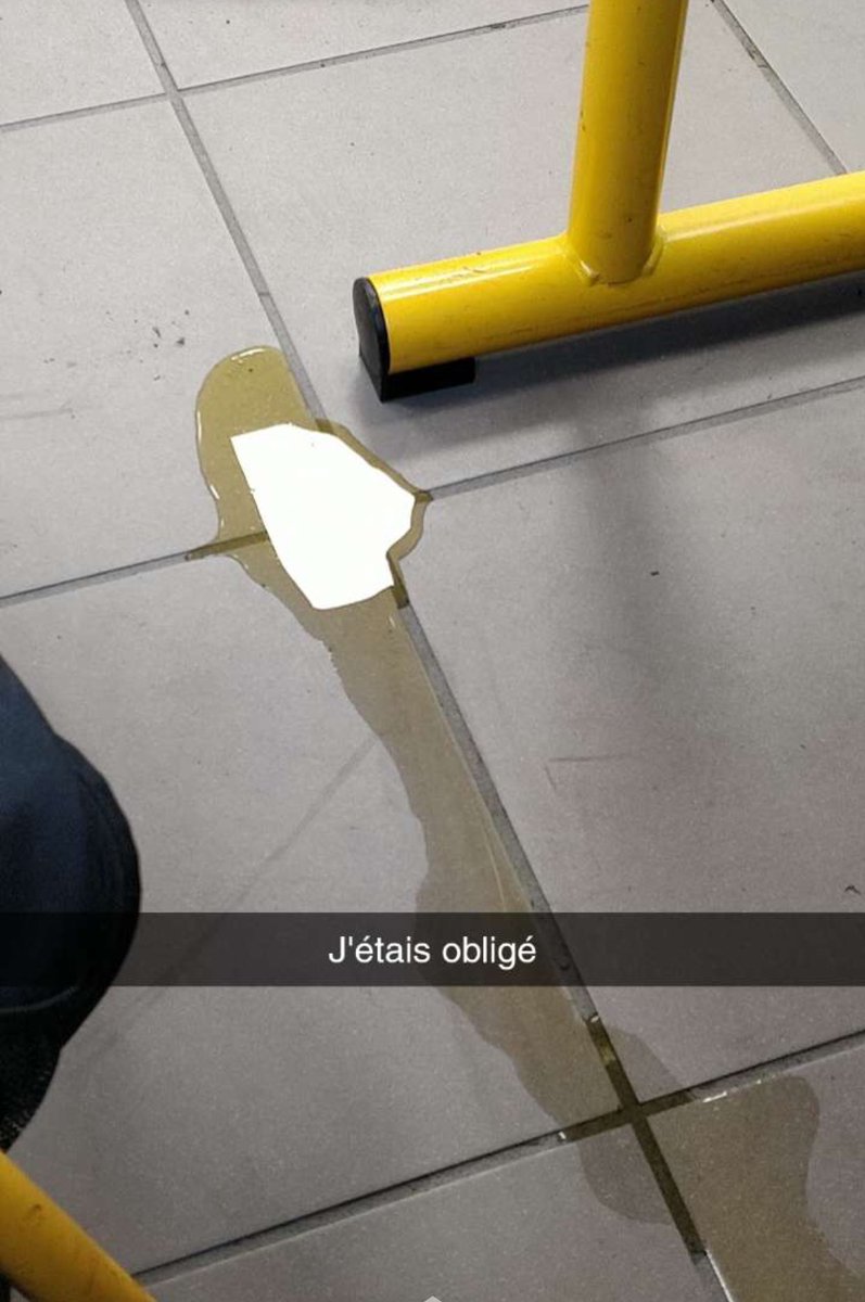 HAHAHAHAHAHA WSHH???