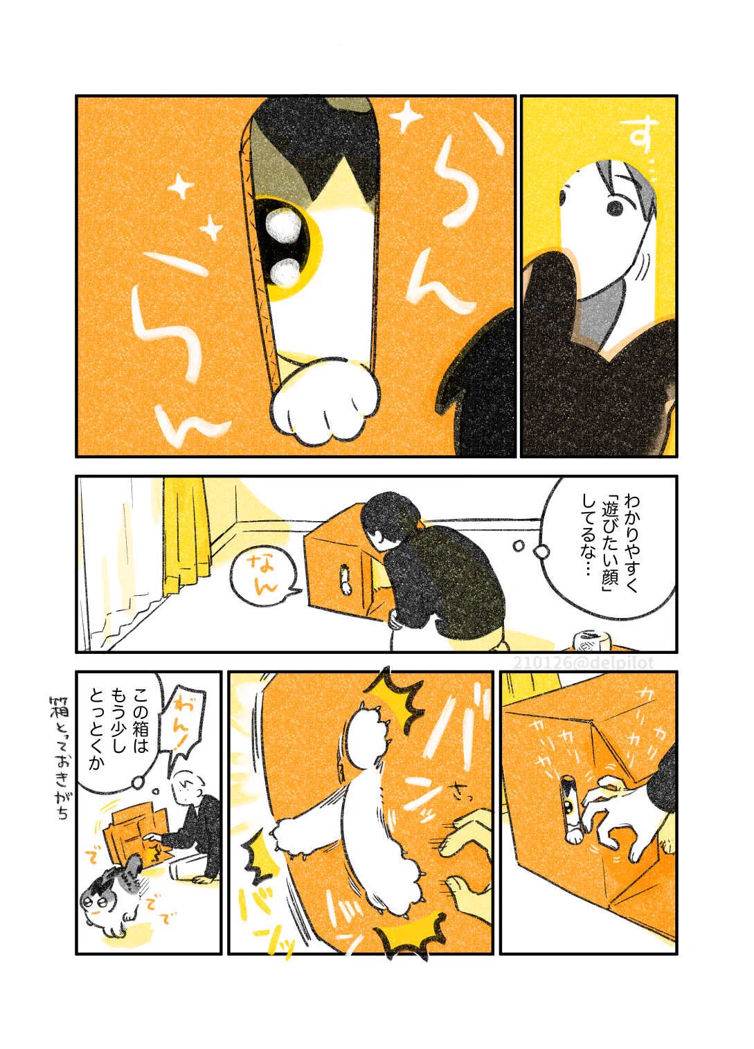 ネコを飼っているとありがち？処分しようとしていた箱で遊ぶネコを見て･･･！