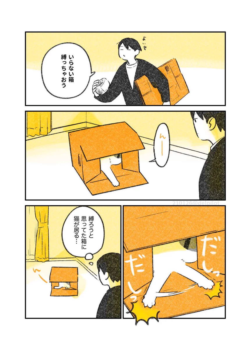 ネコを飼っているとありがち？処分しようとしていた箱で遊ぶネコを見て･･･！