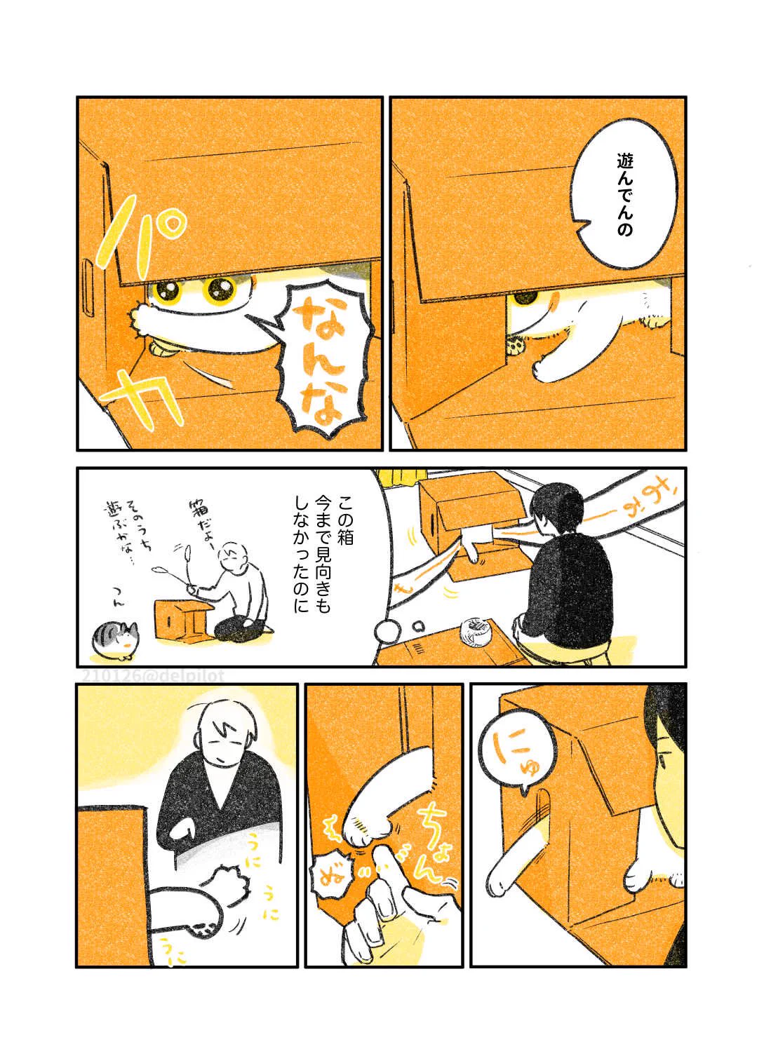 ネコを飼っているとありがち？処分しようとしていた箱で遊ぶネコを見て･･･！