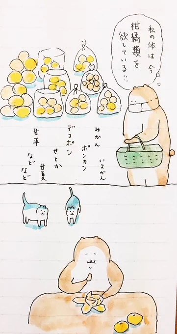 柑橘類
#bubuchiyo絵日記 