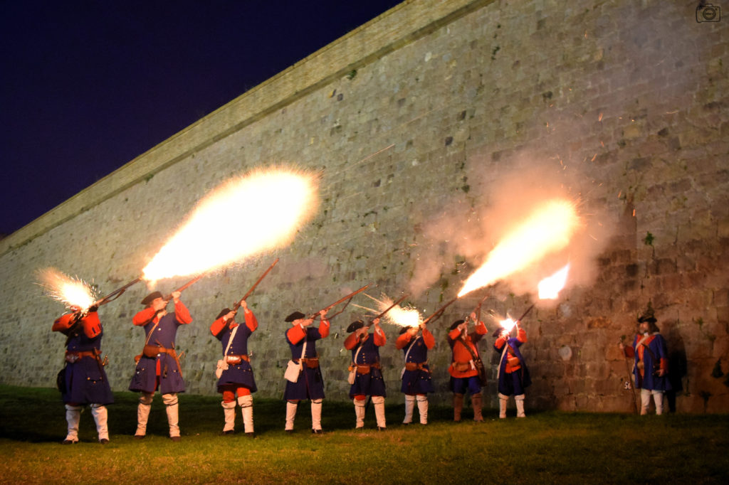 En la Diada del Soldat Català el nostre més sentit homenatge per tots aquells que han lluitat en la defensa de Catalunya.
