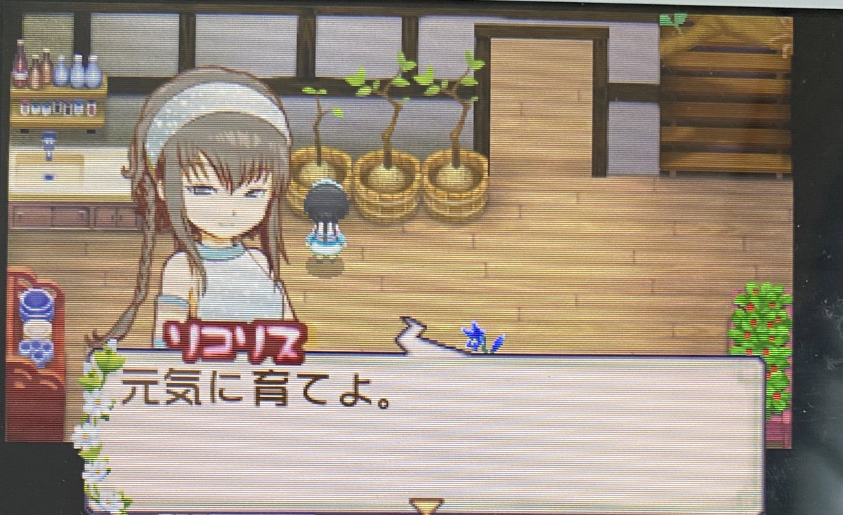 音識 オリーブタウン移住 リコリス 可愛い 艸 牧場物語 ふたごの村