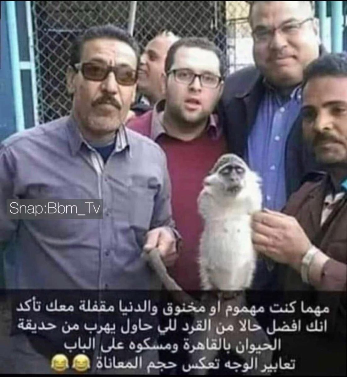 v_hhhv's tweet photo. 🤣🤣🤣🤣🤣 https://t.co/1AXF6pECNm