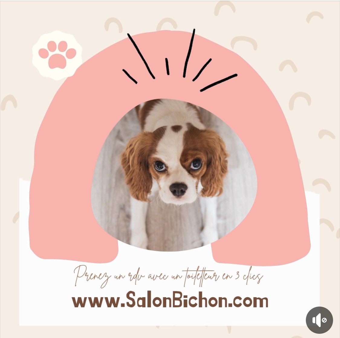BichonSalon's tweet photo. Un rdv avec un toiletteur pour votre chien ou votre chat ✂️🐶🐱✂️? Venez sur : https://t.co/CvYl3Ny2dk afin de prendre RDV en 3 clics avec un toiletteur proche de chez vous #rdvenligne #salonbichon #animaldecompagnie #chien #chat #toilettage #toiletteur https://t.co/KKTXRiACPl