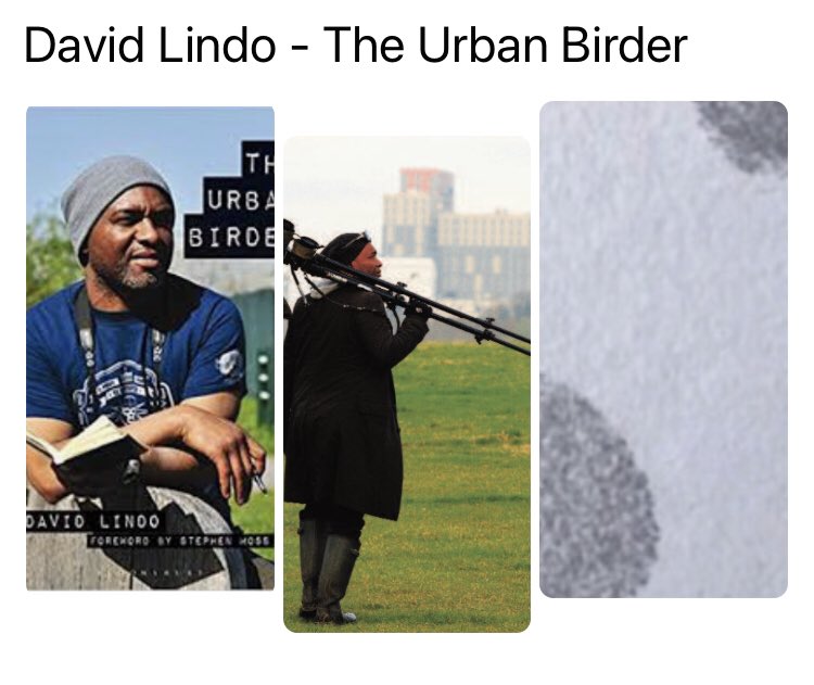 ElaineRartist's tweet photo. Thank you David Lindo @urbanbirder who has agreed to add his fingerprint to #SPOTtimespotTIME #conservationpanel #conservationmeanslife #alllife #sittingequally #urbanbirder https://t.co/cWUvrHWHaU https://t.co/qR4B5N9kAI