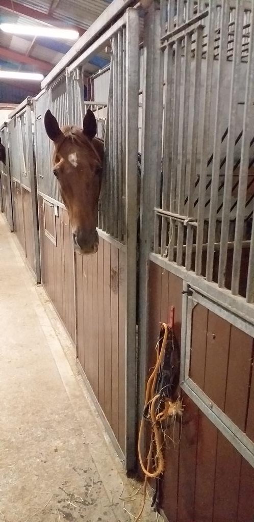 Ben Arthey tweet media