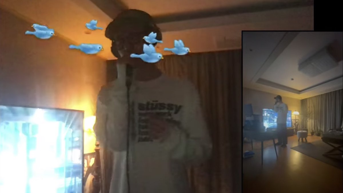 💕💕💕                           🐦🐦🐦