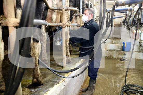 ACNcatcentral's tweet image. Preocupació entre els productors de #llet d'#Osona perquè les grans empreses els paguen la llet per sota del preu de cost. Alerten que pot suposar la desaparició del sector i reclamen la implicació del Govern @coplanadevic 
acn.cat/text/item/preo…