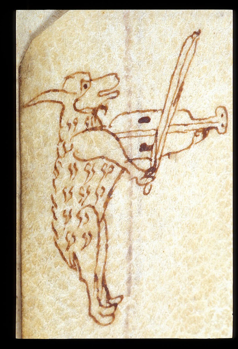 On the other hand, perhaps we're over-thinking this. Medieval manuscripts are full of wonderfully creative marginalia, and hybrids as well as music-making animals aren't uncommon. Royal 12 G V ￼ f. 16v ￼ @britishlibrary