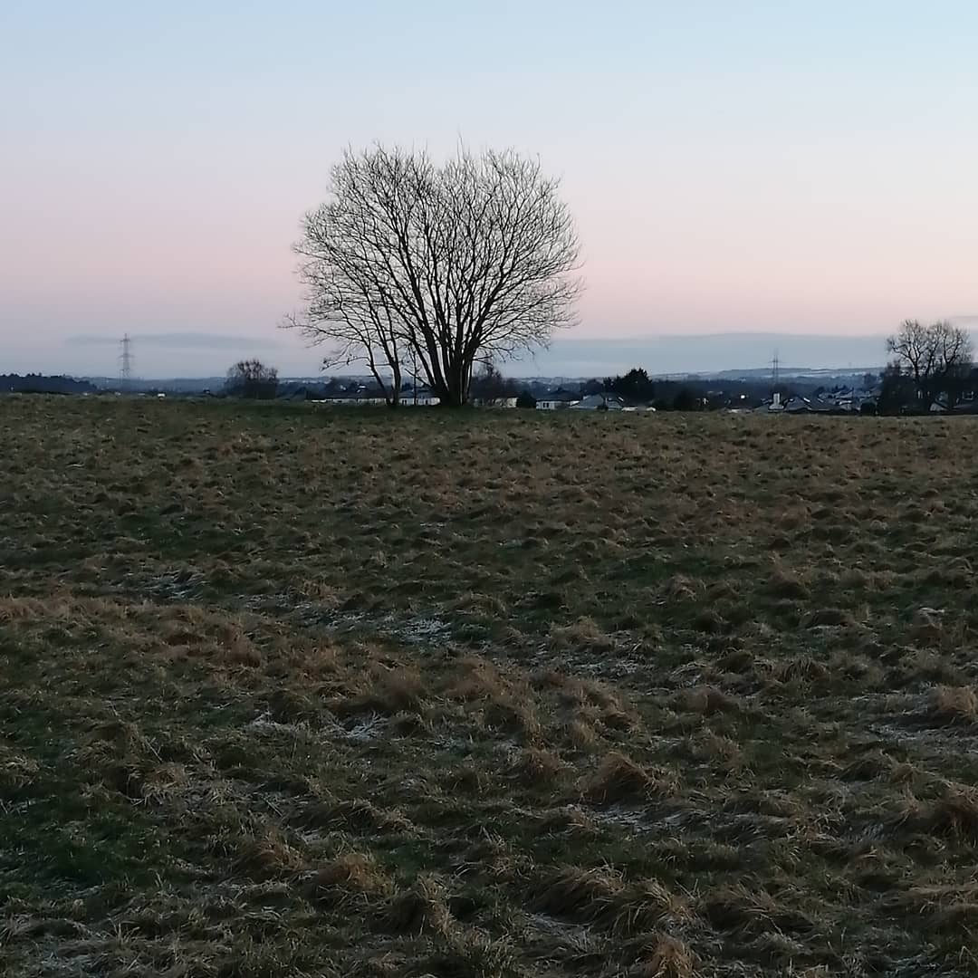 MrsWilsonDA1's tweet photo. Winter scenes. https://t.co/QUf65c4OPE