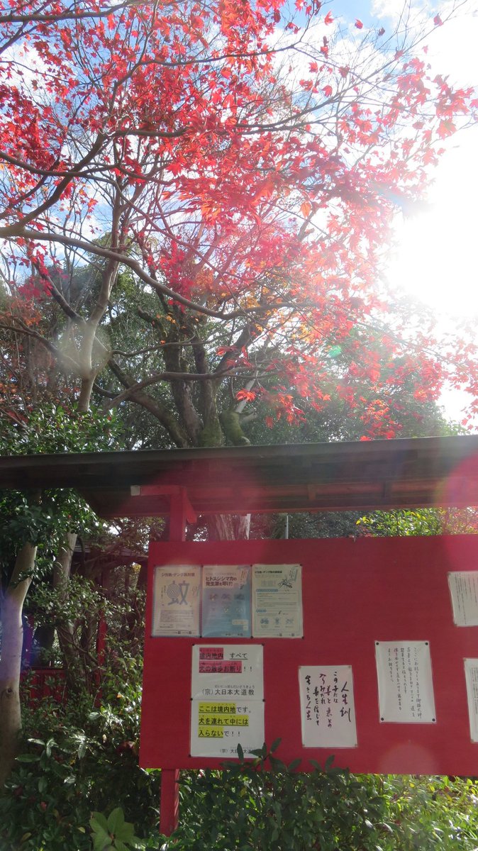 ファンキーol奈々 月曜から夜ふかし على تويتر 京都 紅葉 伏見稲荷 伏見稲荷大社 人生訓 稲荷山 大日本大道教 Kyoto 紅葉狩り T Co Igxpcmwtqu ファンキーol奈々 月曜から夜ふかし على تويتر 京都 紅葉 伏見稲荷 伏見稲荷大社 人生訓 稲荷山 大日本大道教 Kyoto 紅葉狩り T Co Igxpcmwtqu