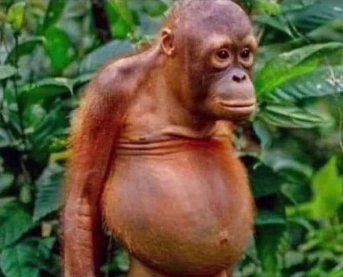 CauseWereGuys's tweet photo. My girl: You are the finest thing i've ever seen 

Me standing at the end of the bed: https://t.co/hhsKN4G0UK