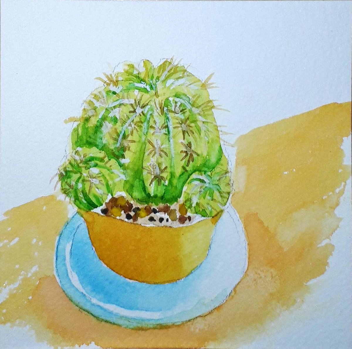 まっちゃん なごみ創作家 最近は自分の部屋にこもって 創作活動しています だから肩こりがひどい 何か良い方法ありませんかねぇ 息抜きに描いた サボテン の絵 緑が欲しいと思って買ったけど 春になったらカワイイ鉢に植えかえてあげよう 水彩