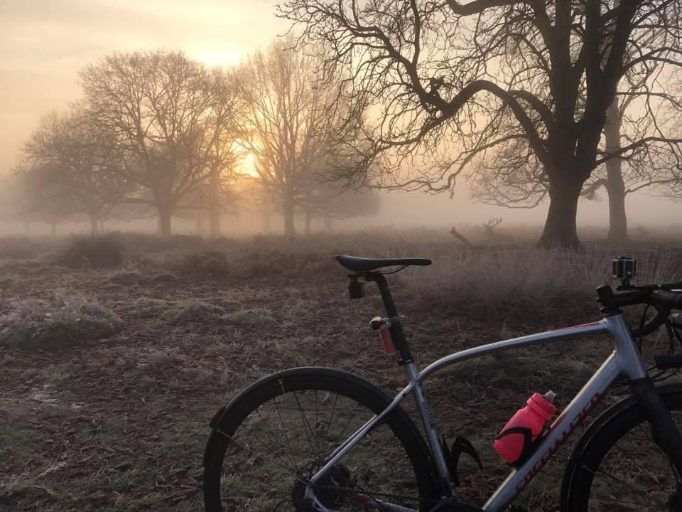 CycleGaz™ tweet media