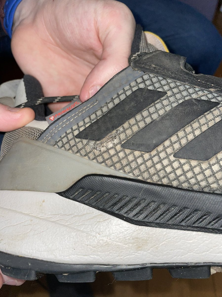 Robyn Smith tweet media