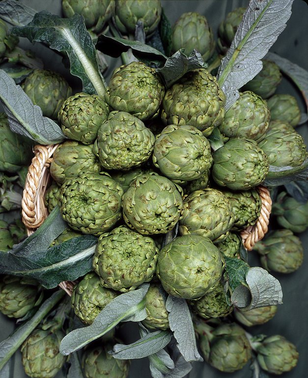 paradores's tweet photo. ¡El Parador de #Benicarló ha lanzado su tradicional oferta de la #alcachofa! 

Hasta el 7 de marzo ofrece platos suculentos y creativos a base de este sabroso corazón vegetal.

https://t.co/OAbAJK1Lgm https://t.co/xCoSLJ201E